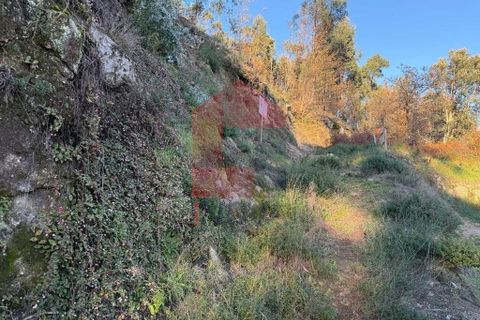 Helårsgrund i Vila Verde, Braga, Vila Verde - € 16.500 | Ref: 08754 - foto 3