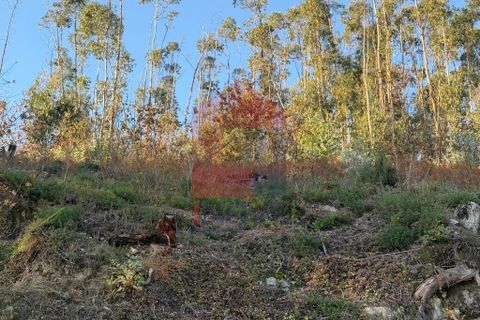 Helårsgrund i Vila Verde, Braga, Vila Verde - € 16.500 | Ref: 08754 - foto 5