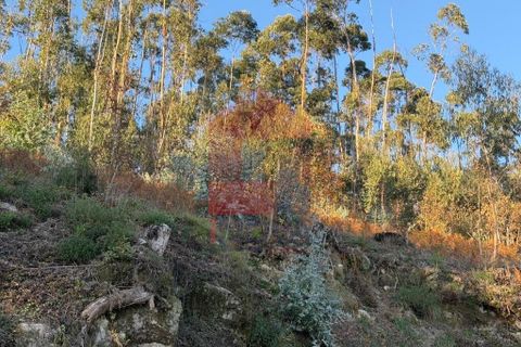 Helårsgrund i Vila Verde, Braga, Vila Verde - € 16.500 | Ref: 08754 - foto 6