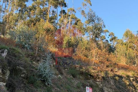 Helårsgrund i Vila Verde, Braga, Vila Verde - € 16.500 | Ref: 08754 - foto 7