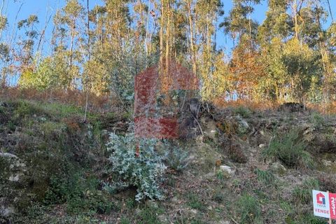 Helårsgrund i Vila Verde, Braga, Vila Verde - € 16.500 | Ref: 08754 - foto 8