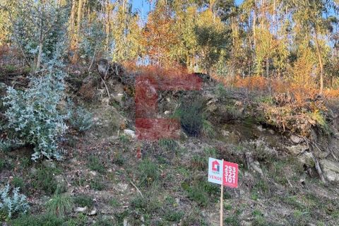 Helårsgrund i Vila Verde, Braga, Vila Verde - € 16.500 | Ref: 08754 - foto 9