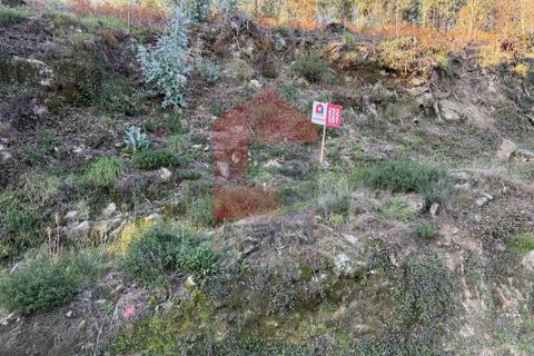 Helårsgrund i Vila Verde, Braga, Vila Verde - € 16.500 | Ref: 08754 - foto 10