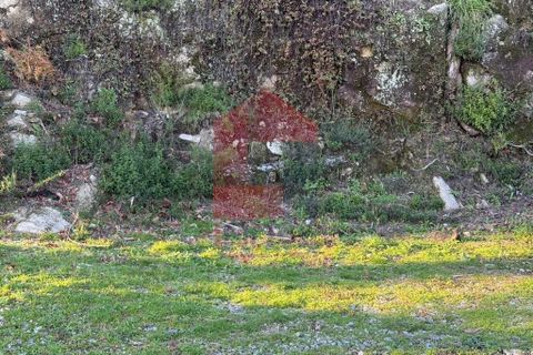 Helårsgrund i Vila Verde, Braga, Vila Verde - € 16.500 | Ref: 08754 - foto 11