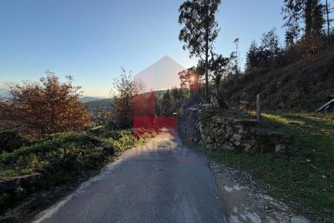 Helårsgrund i Vila Verde, Braga, Vila Verde - € 16.500 | Ref: 08754 - foto 13