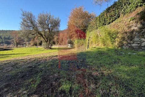 Helårsgrund i Vila Verde, Braga, Vila Verde - € 26.500 | Ref: 08755 - foto 2