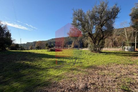 Helårsgrund i Vila Verde, Braga, Vila Verde - € 26.500 | Ref: 08755 - foto 5