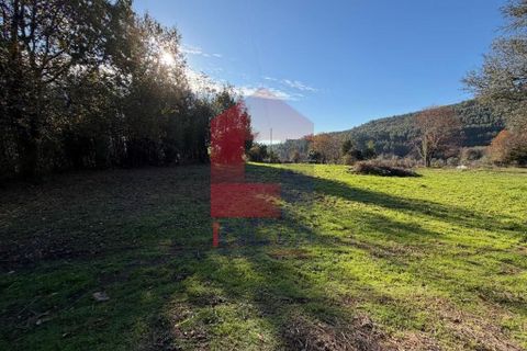 Helårsgrund i Vila Verde, Braga, Vila Verde - € 26.500 | Ref: 08755 - foto 6