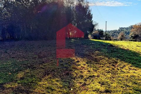 Helårsgrund i Vila Verde, Braga, Vila Verde - € 26.500 | Ref: 08755 - foto 7