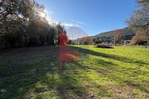 Helårsgrund i Vila Verde, Braga, Vila Verde - € 26.500 | Ref: 08755 - foto 9