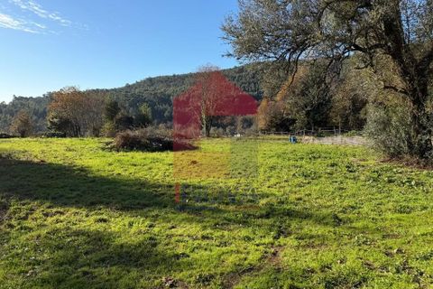 Helårsgrund i Vila Verde, Braga, Vila Verde - € 26.500 | Ref: 08755 - foto 10