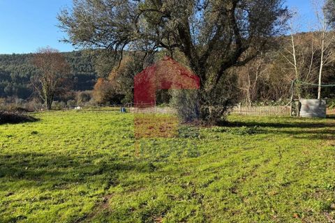 Helårsgrund i Vila Verde, Braga, Vila Verde - € 26.500 | Ref: 08755 - foto 11