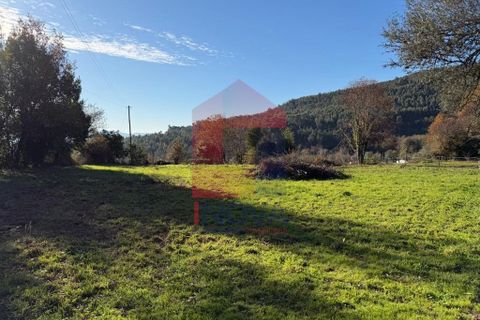 Helårsgrund i Vila Verde, Braga, Vila Verde - € 26.500 | Ref: 08755 - foto 12