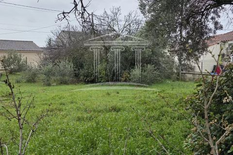 Terra a Sorgues, Vaucluse, Sorgues - € 108.000 | Ref: 8523 - foto 2