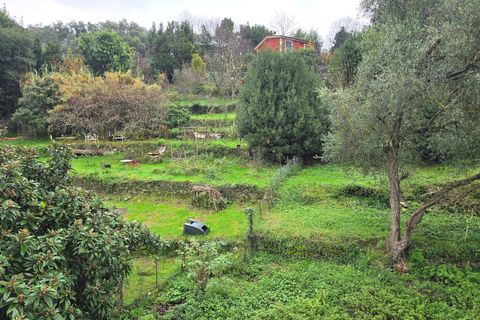 Leilighet i Rapallo, Genoa, Rapallo - € 109 000 | Ref: 22789 - foto 17