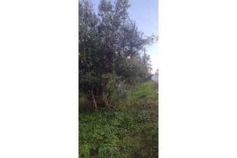 Landejendom i Ourem, Santarem, Ourem - € 65.000 | Ref: CAS_281 - foto 13
