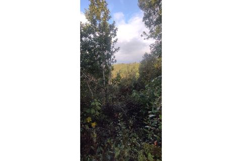 Landejendom i Ourem, Santarem, Ourem - € 65.000 | Ref: CAS_281 - foto 14