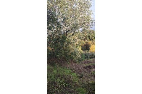 Landejendom i Ourem, Santarem, Ourem - € 65.000 | Ref: CAS_281 - foto 15