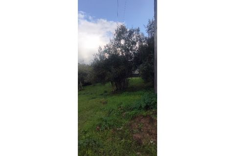 Landejendom i Ourem, Santarem, Ourem - € 65.000 | Ref: CAS_281 - foto 16