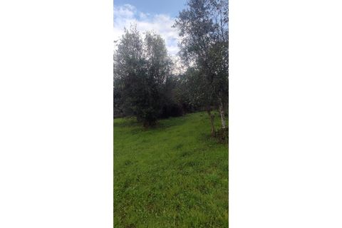 Landejendom i Ourem, Santarem, Ourem - € 65.000 | Ref: CAS_281 - foto 18