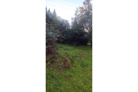 Landejendom i Ourem, Santarem, Ourem - € 65.000 | Ref: CAS_281 - foto 20