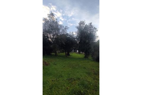 Landejendom i Ourem, Santarem, Ourem - € 65.000 | Ref: CAS_281 - foto 21