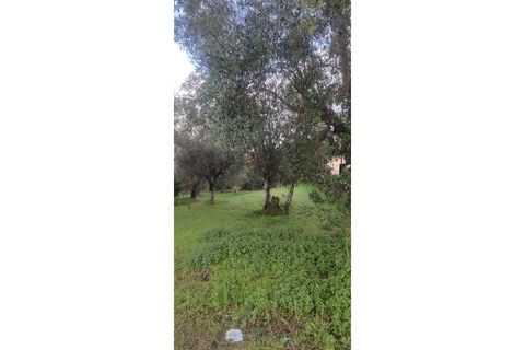 Landejendom i Ourem, Santarem, Ourem - € 65.000 | Ref: CAS_281 - foto 22