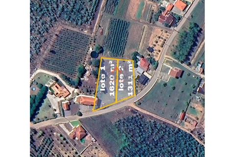 Helårsgrund i Agueda, Aveiro, Agueda - € 22.000 | Ref: 6710 - foto 1
