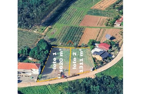 Helårsgrund i Agueda, Aveiro, Agueda - € 22.000 | Ref: 6710 - foto 2