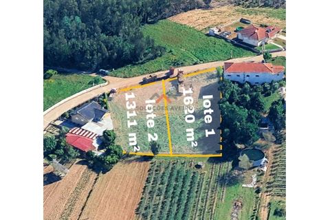 Helårsgrund i Agueda, Aveiro, Agueda - € 22.000 | Ref: 6710 - foto 3