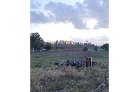 Helårsgrund i Agueda, Aveiro, Agueda - € 22.000 | Ref: 6710 - foto 4
