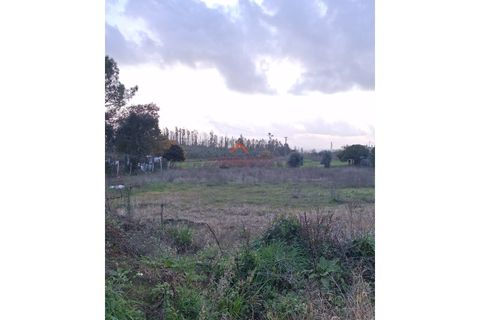 Helårsgrund i Agueda, Aveiro, Agueda - € 22.000 | Ref: 6710 - foto 5