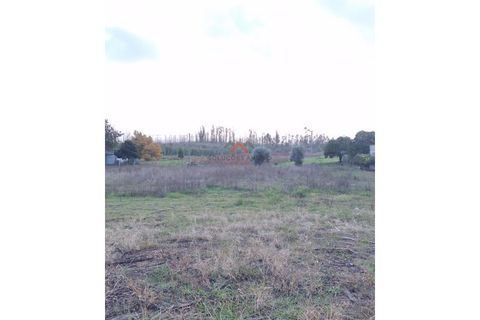 Helårsgrund i Agueda, Aveiro, Agueda - € 22.000 | Ref: 6710 - foto 6