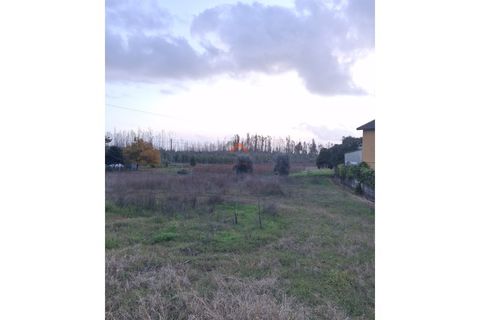 Helårsgrund i Agueda, Aveiro, Agueda - € 22.000 | Ref: 6710 - foto 7