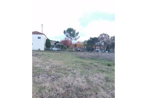 Helårsgrund i Agueda, Aveiro, Agueda - € 22.000 | Ref: 6710 - foto 8