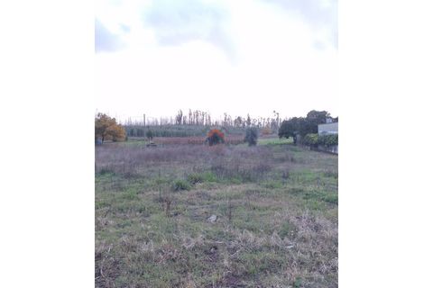 Helårsgrund i Agueda, Aveiro, Agueda - € 22.000 | Ref: 6710 - foto 9