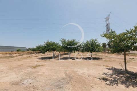 Lejlighed i Valencia, Valencia, Valencia - € 600.000 | Ref: IV-0373 - foto 32