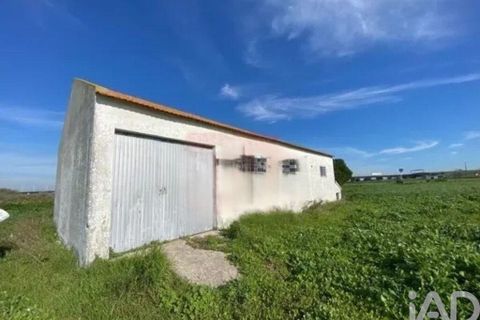 Terra a Alcochete, Setubal, Alcochete - € 225.000 | Ref: 774721 - foto 3