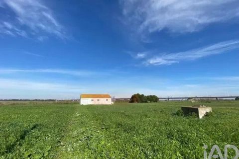 Terra a Alcochete, Setubal, Alcochete - € 225.000 | Ref: 774721 - foto 7