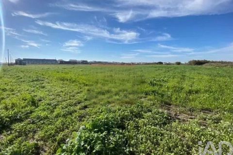 Terra a Alcochete, Setubal, Alcochete - € 225.000 | Ref: 774721 - foto 11