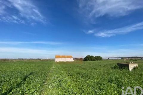 Terra a Alcochete, Setubal, Alcochete - € 225.000 | Ref: 774721 - foto 14