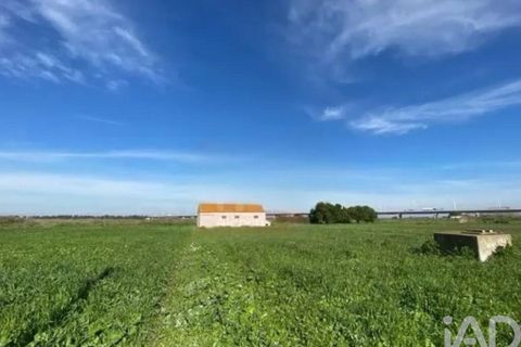 Terra a Alcochete, Setubal, Alcochete - € 225.000 | Ref: 774721 - foto 17