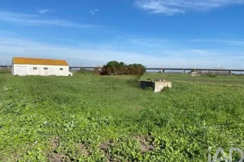 Terra a Alcochete, Setubal, Alcochete - € 225.000 | Ref: 774721 - foto 18