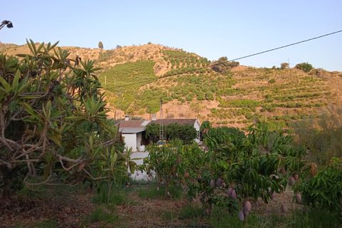 Villa a Cutar, Malaga, Cutar - € 262.000 | Ref: ID4400 - foto 16