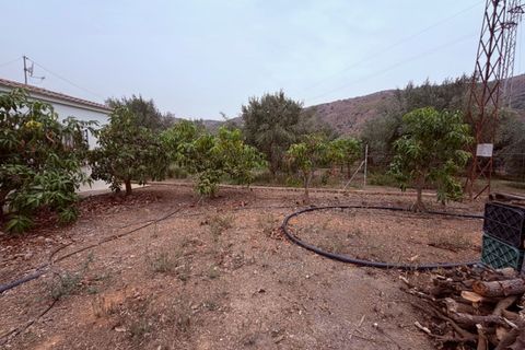 Villa a Cutar, Malaga, Cutar - € 262.000 | Ref: ID4400 - foto 24