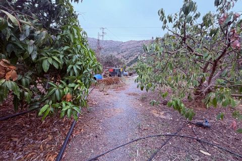 Villa a Cutar, Malaga, Cutar - € 262.000 | Ref: ID4400 - foto 25
