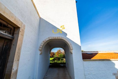 Landejendom i Alberobello, Bari, Alberobello - € 800.000 | Ref: M 33 - foto 22