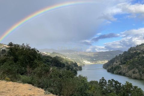 Helårsgrund i Penhalonga e Pacos de Gaiolo, Porto, Penhalonga e Pacos de Gaiolo - € 600.000 | Ref: C0471-00391 - foto 3