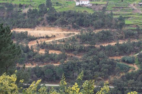 Helårsgrund i Penhalonga e Pacos de Gaiolo, Porto, Penhalonga e Pacos de Gaiolo - € 600.000 | Ref: C0471-00391 - foto 4