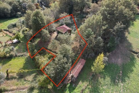 Farm i Arcos de Valdevez, Viana do Castelo, Arcos de Valdevez - € 45.000 | Ref: KWPT-023239 - foto 5